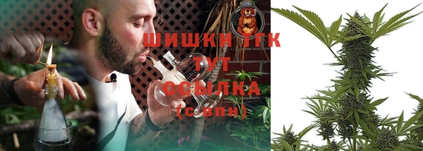 PSILOCYBIN Абаза
