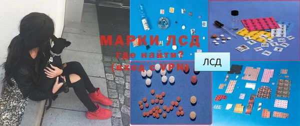 сатива Абинск